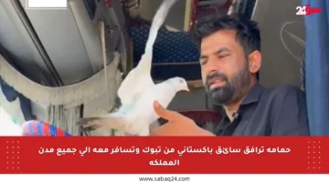 حمامة ترافق سائق باكستاني من تبوك وتسافر معه إلى جميع مدن المملكة